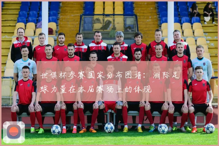 世俱杯参赛国家分布图谱：洲际足球力量在本届赛场上的体现