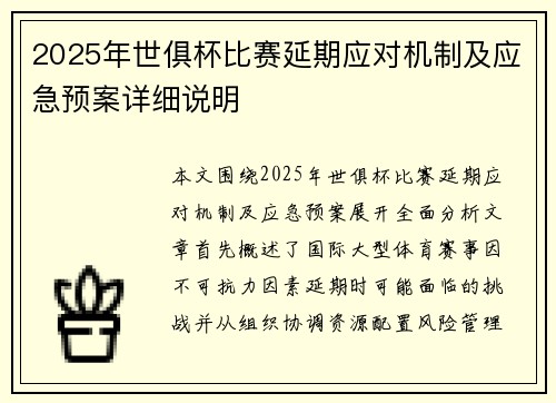 2025年世俱杯比赛延期应对机制及应急预案详细说明