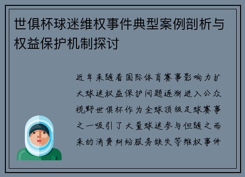 世俱杯球迷维权事件典型案例剖析与权益保护机制探讨